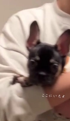 「ここにいるよ?」