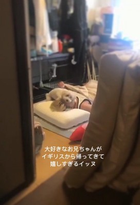 お兄ちゃんに覆いかぶさるワンコ