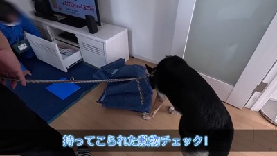 持ち物チェックしてたら…