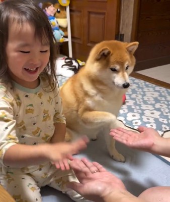 手を上げるすずちゃん