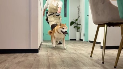 飛び出す勢いで退室！