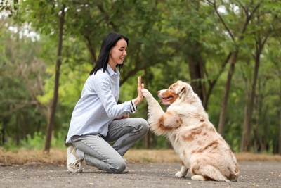 女性とハイタッチする犬