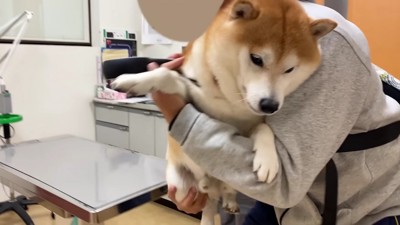 下へ降ろすと…