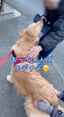 2人から撫でられる犬