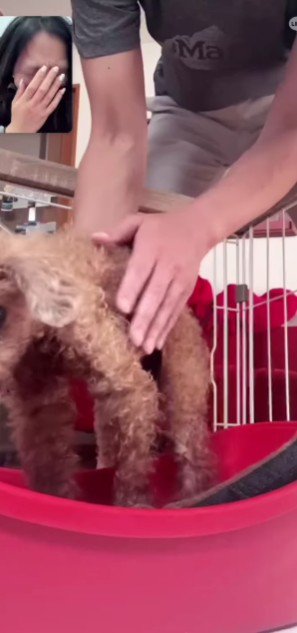 フラフラになりながらも…