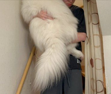 抱っこ