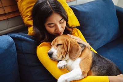 ソファに座りながら犬を抱っこする女性