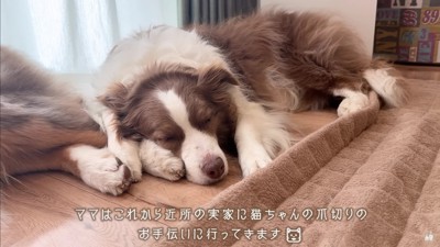 パパと3人でお留守番