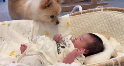 お腹は空いてない?