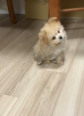 反対側にも…♪