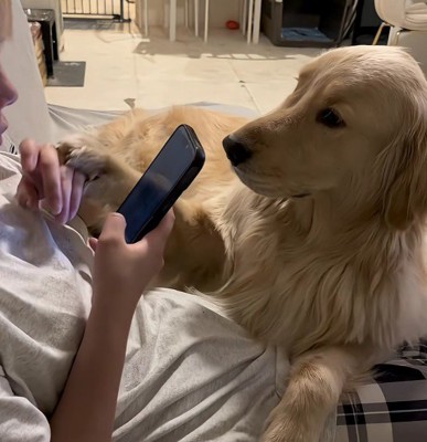 「スマホばっかり見ないで!」