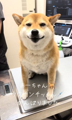 注射が終わったあーちゃん