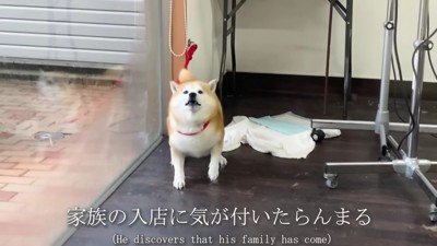 大喜びのらんまるくん