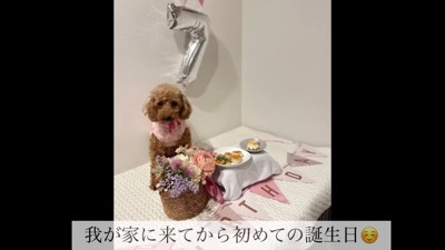 やっと掴んだ穏やかな生活