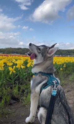 ムウくんの成長5