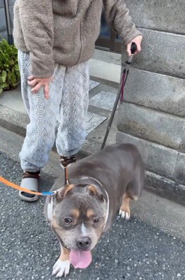 嬉しそうな小太郎ちゃん