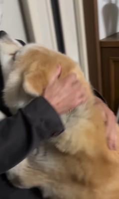 健くんの熱烈歓迎8