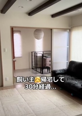 時間がたったけれど…