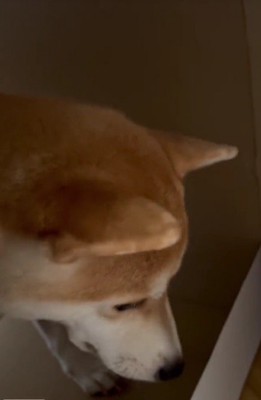 「ここ落ち着くんだ…」