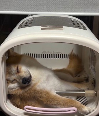 堂々たる姿にクスッ♪