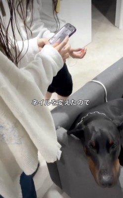 ネイルを可愛く撮りたい！