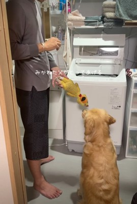 ぬいぐるみを受け取る犬