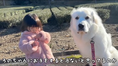 女の子の隣に座る犬