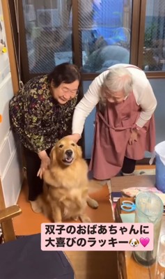 笑顔の双子のおばあちゃんと大型犬