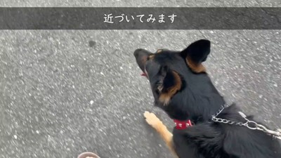 とりあえず行ってみよう