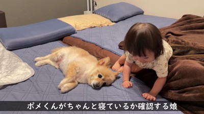 「ちゃんと寝ているかな?」