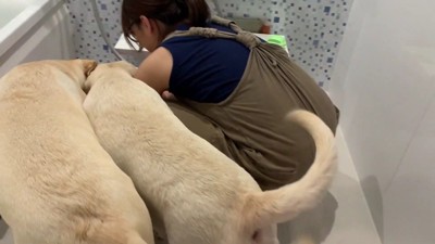 気になって仕方ない