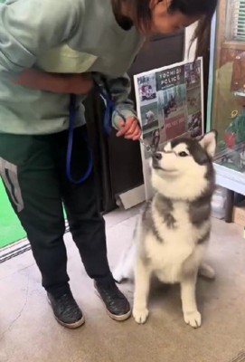 「もう行っていい?」