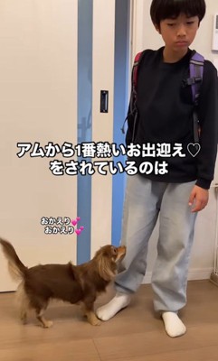 男の子を熱烈歓迎するアムくん