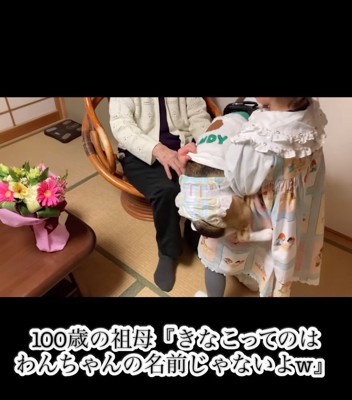 「きなこってのは、わんちゃんの名前じゃないよw」