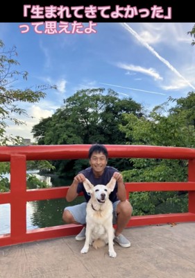 耳を触られる犬