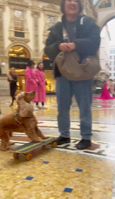 誇らしげなコーダちゃん