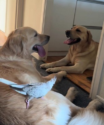 ニコニコ平和で微笑ましい♡