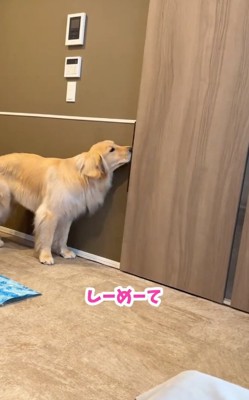 扉を閉めるコロッケくん