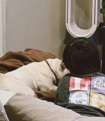 ソファでまったり