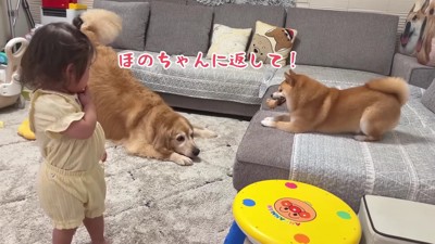 「それはほのちゃんのだよ！」