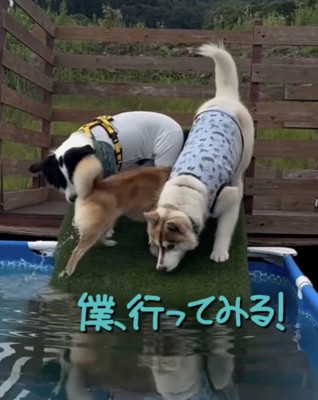 やる気しかないうみくん