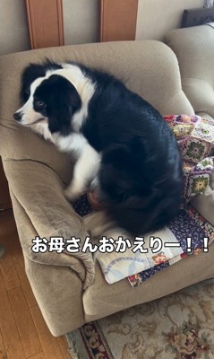 マリちゃんの熱烈歓迎