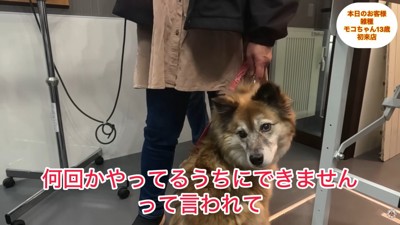 他のサロンでは断られてしまったそう