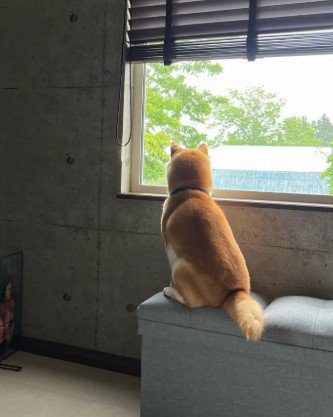 何を見ているのかな?