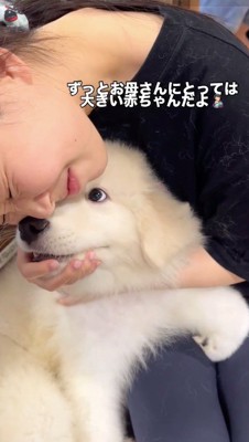 子犬に顔を近づける飼い主