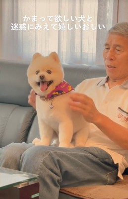 おじいちゃんの上に座る犬