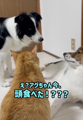 すぐには飲み込めない現実