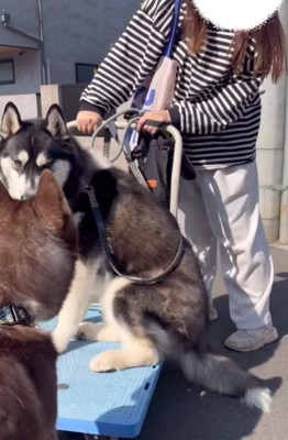 「え…どういうこと？」