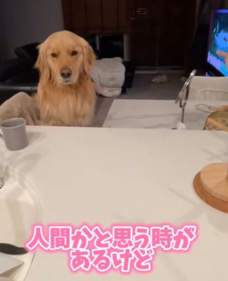 人間に見えてしまうほど…