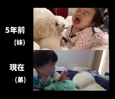 妹も弟も大切だよ♡